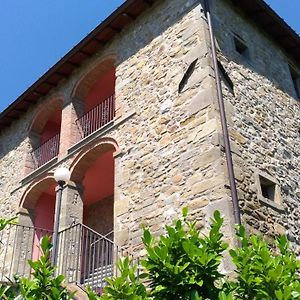 La Collina dei Franchi Bed and Breakfast Camporgiano Exterior photo