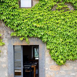 Acqua di Civita Beauty&Rooms in Mercatello Bagnoregio Exterior photo