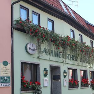 Hotel Ammerscher Bahnhof Mühlhausen Exterior photo