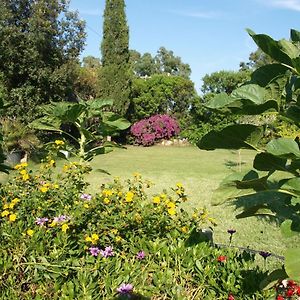 B&B Nel Giardino In Fiore Castiadas Exterior photo