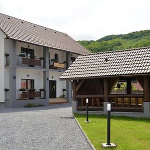 Constantin Panzió Bed and Breakfast Praid Exterior photo