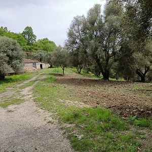 B&B Le Casette SantʼOnofrio Exterior photo