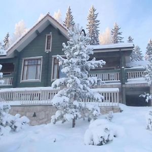 Hotel Tahkonhovi Golden Chalet Exterior photo