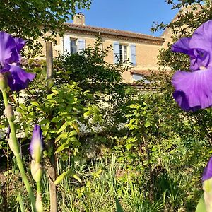 Le Petit Cochon Bed and Breakfast Valence-sur-Baïse Exterior photo