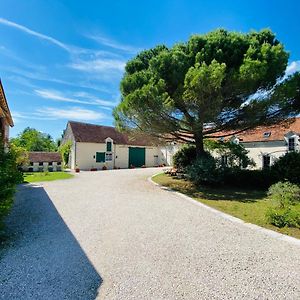 La Pillebourdiere Bed and Breakfast Oisly Exterior photo