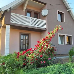 Hotel Becze Vanda kulcsosház Lăzarea Exterior photo