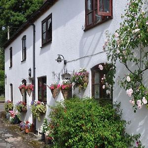 Shepherds Row Bed And Breakfast West Haddon Exterior photo