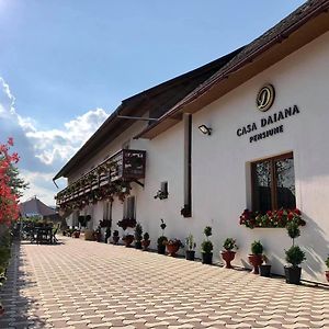 Hotel Casa Daiana Ocna Şugatag Exterior photo