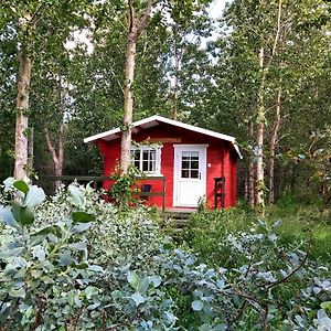 Appartamento Bakkakot 3 Cozy Cabin In The Woods Akureyri Exterior photo