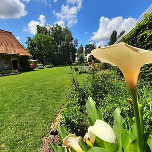 La Flandre Entre Plaine, Mer Et Marais Bed and Breakfast Rubrouck Exterior photo