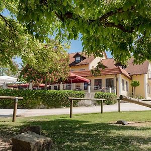 Hotel & Pension "Zum Birnthaler" Kallmünz Exterior photo