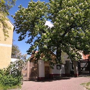 Hotel Gaestehaus Liemehna Jesewitz Exterior photo