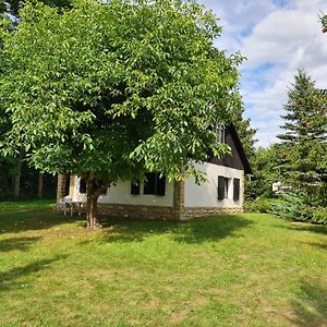Domek W Lesie Bory Tucholskie Jezewo  Exterior photo