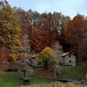 Appartamento Agriturismo il canale Corfino Exterior photo