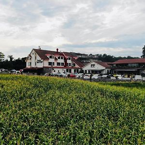 Hotel Penzion Hoffer Nitra Exterior photo