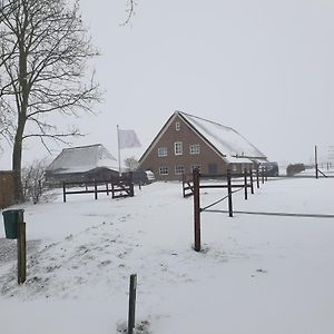 Appartamento Landelijk Gelegen Boerderij Aan De Pothofweg Anevelde Exterior photo