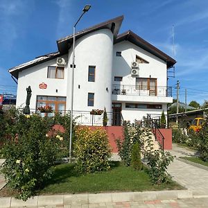 Hotel Pensiunea Valea Ilenei Letcani Exterior photo