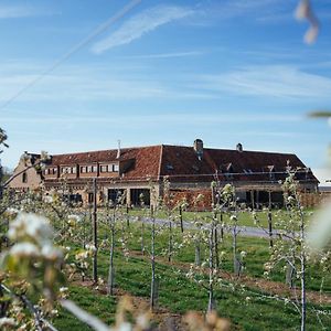 Hoeve Roosbeek Bed and Breakfast Zepperen Exterior photo