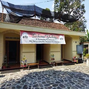 Homestay Punokawan Borobudur Magelang Exterior photo