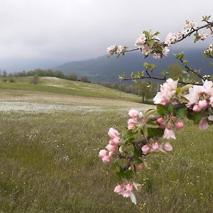 La bicocca Bed and Breakfast Bobbio Exterior photo