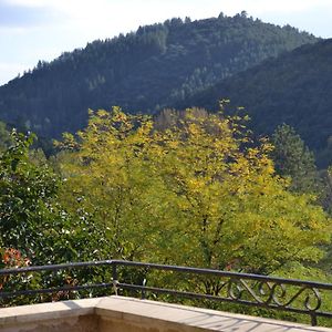 Maison au cœur des Cévennes Méridionales Villa Saint-André-de-Majencoules Exterior photo