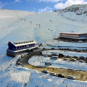 X Mountain Lodge Erciyes Exterior photo