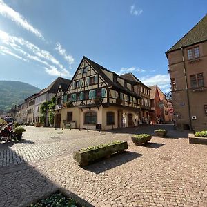 Appartamento Coeur D'Alsace Kaysersberg-Vignoble Exterior photo