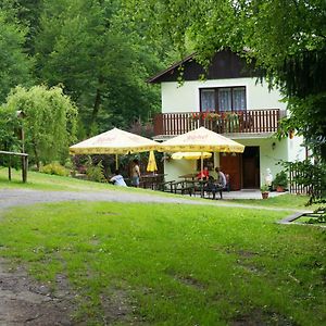 Appartamento Pension U Štěpánků Trpisovice Exterior photo