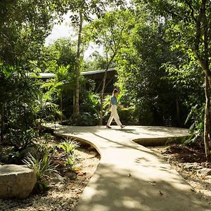 Zen Canto Villa Nupul :: New Exclusive Jungle Home :: Tulum Exterior photo