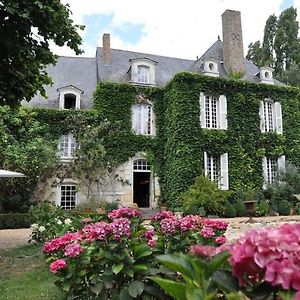 Hotel La Marronniere Cheffes-sur-Sarthe Exterior photo