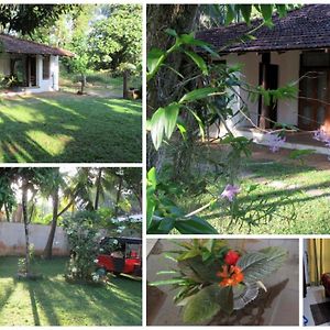 Hotel Sagala Bungalow Kalutara Exterior photo