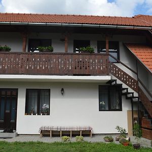 Havasi gyopár Bed and Breakfast Praid Exterior photo