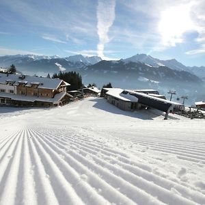 Appartamento Elegant Chalet With Sauna In Mittersill Salzburg Hollersbach im Pinzgau Exterior photo