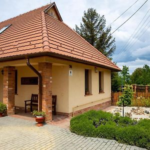 Hotel Mézes Vendégház és Apiterápiás központ Vizsoly Exterior photo