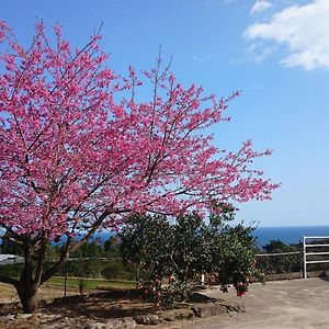 Hotel Maetakeso Yakushima  Exterior photo