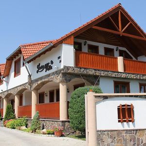 Villa Laura Veľký Meder Exterior photo