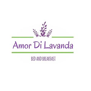 Amor di Lavanda Bed and Breakfast Cingoli Exterior photo