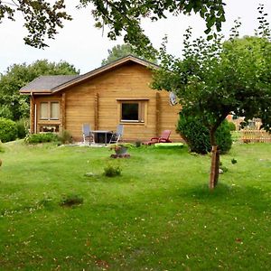 Appartamento Ferienhaus An Der Wiese Luhmannsdorf Exterior photo