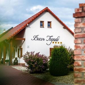 Bocor Fogado Bed and Breakfast Kisharsány Exterior photo