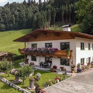 Appartamento Haus Am Waldrand Hopfgarten im Brixental Exterior photo