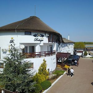 Hotel Pensiunea Beluga Murighiol Exterior photo