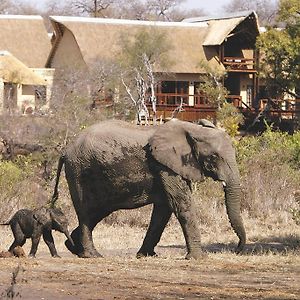 Elephant Plains Game Lodge Riserva di Sabi Sand Exterior photo