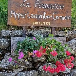 LE PIANACCE - Appartamento per vacanze Castiglione di Garfagnana Exterior photo