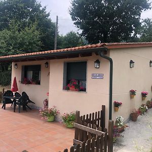 Camiño á casa. Villa Ribadavia Exterior photo