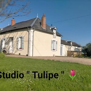 Appartamento Studio "Tulipe" Dans Le Berry Les Bordes Exterior photo