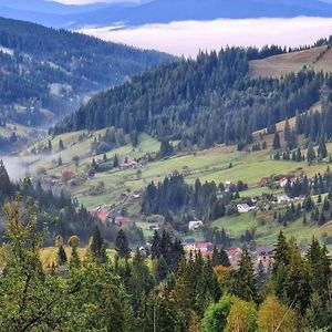 Hotel Pensiunea Casa Fierarul Din Bucovina Vatra Moldoviţei Exterior photo