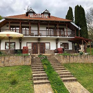 Villa Balconlux Pirot Exterior photo
