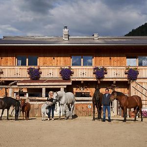 B&B Margit'S Ranch Urlaub Am Pferdehof Silz Exterior photo