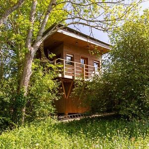 Cabane perchee Vert  Exterior photo