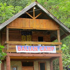 Appartamento Balian Camp Penginapan Tuk Tuk Exterior photo